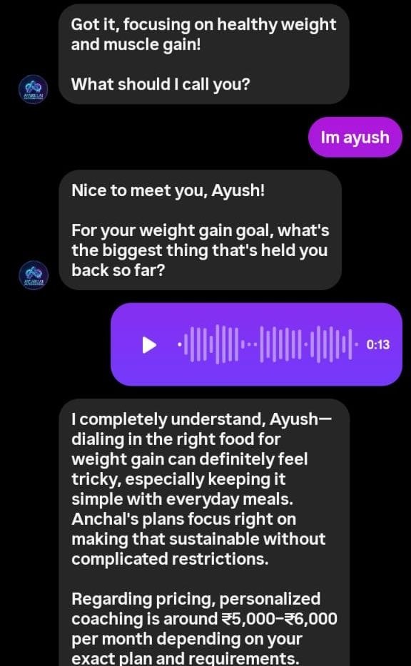 Instagram DM showing a lead's voice note being transcribed and answered in text by the Business AI agent