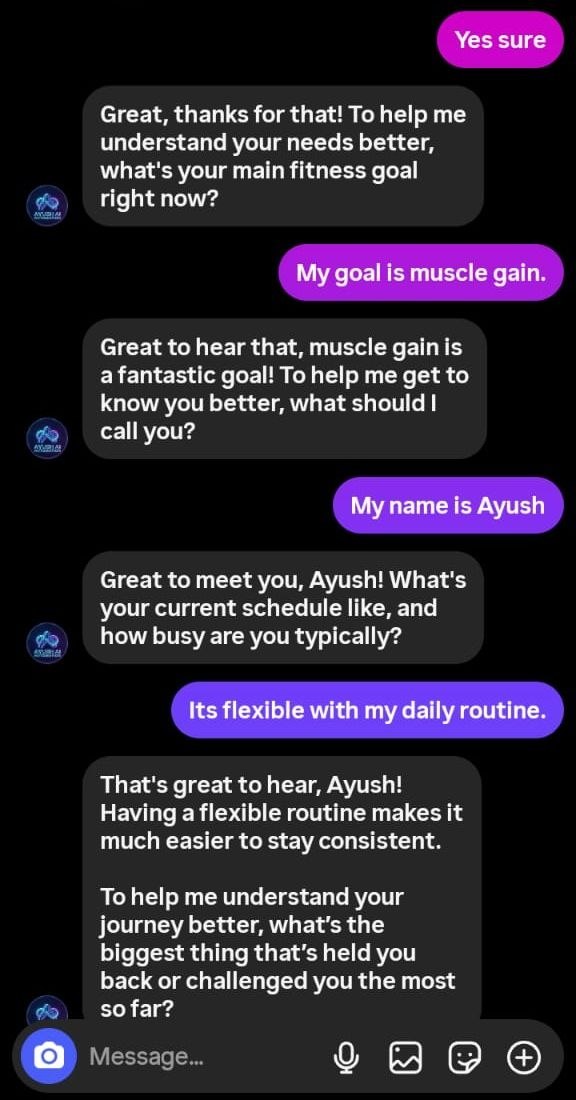 Instagram DM showing the Pro AI agent asking qualification questions one at a time and recording the lead's answers