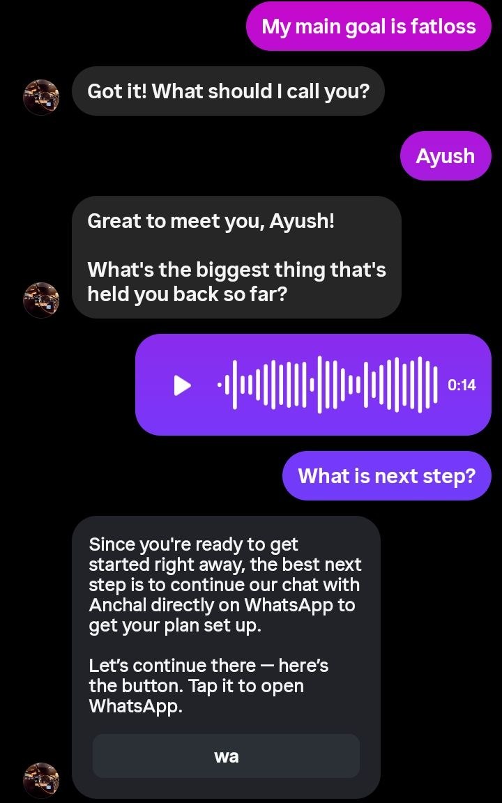 Instagram side of a Fusion Max conversation, showing the lead being qualified before moving to WhatsApp